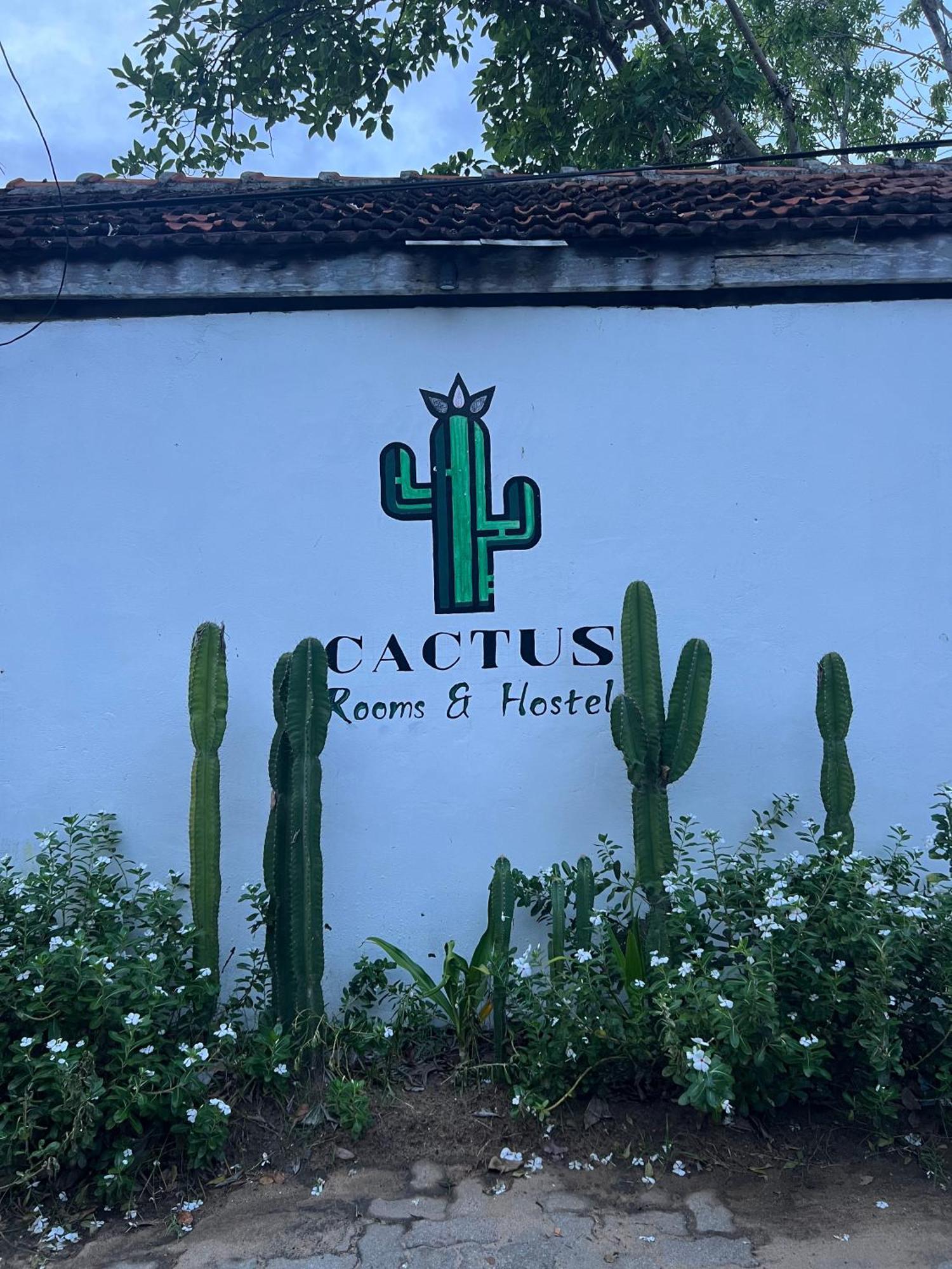 Hostel Cactus Arugambay Arugam Bay Exterior foto