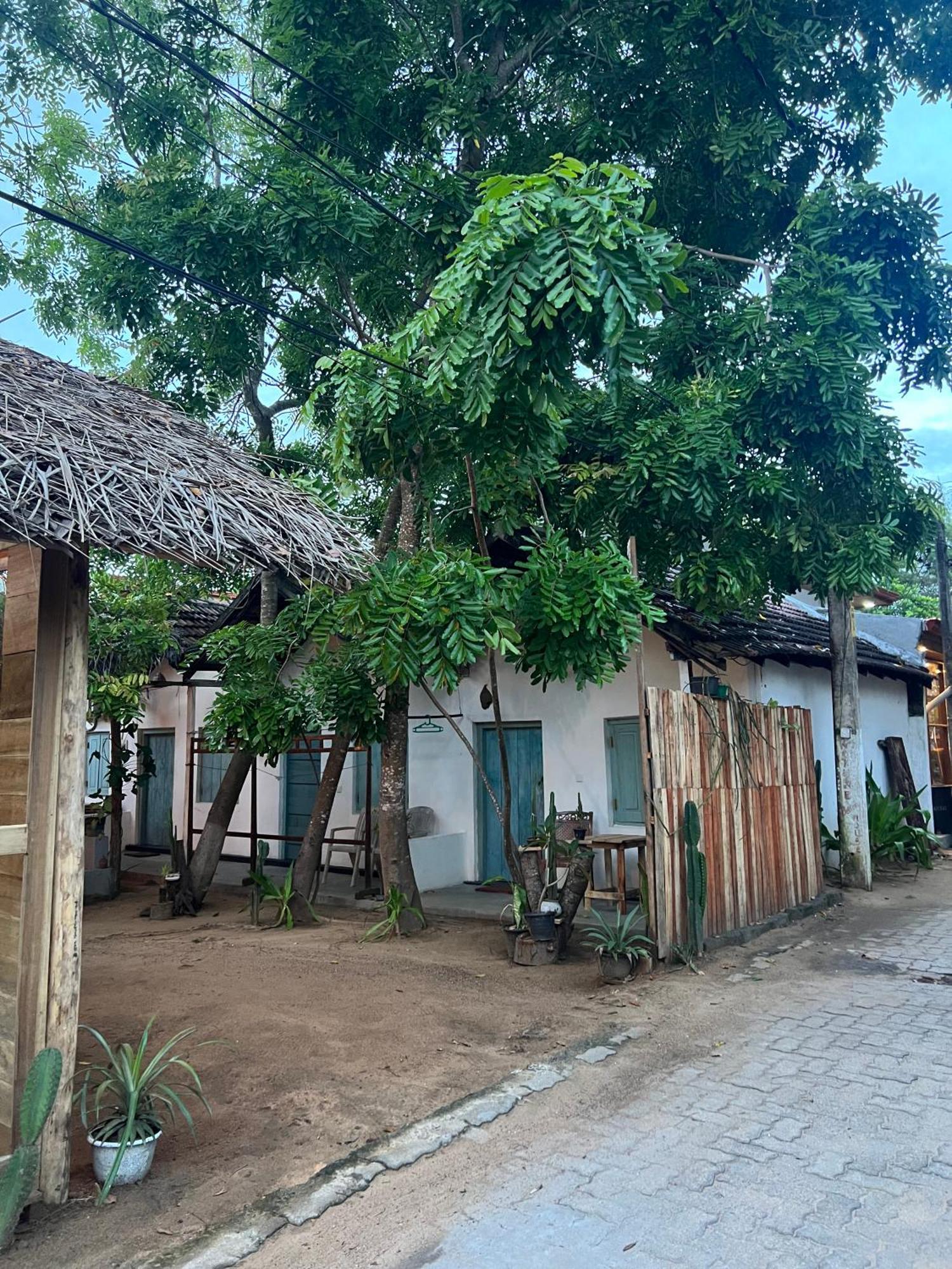Hostel Cactus Arugambay Arugam Bay Exterior foto
